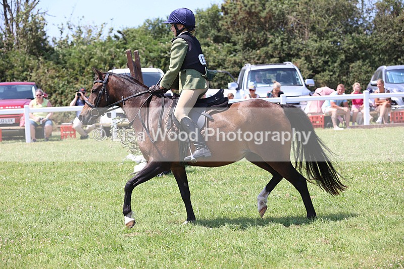 JPP_3026 - Class 22: Working Hunter 70cm