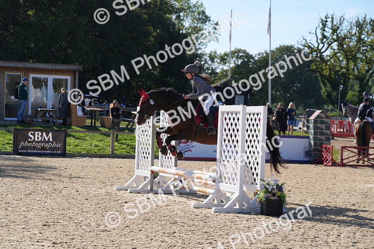 SBM_36188 - J 20 - Junior Horse 50cm Championship