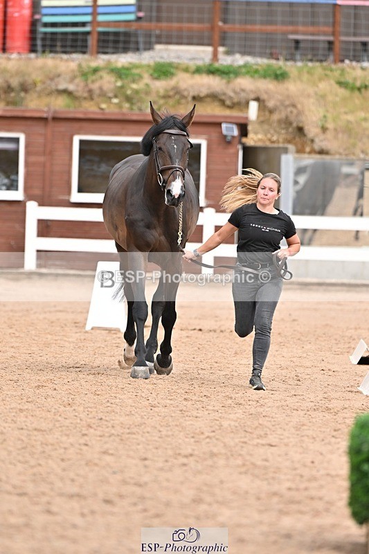 250716-162237-02597 - Trot Up 3.30 to 4.30