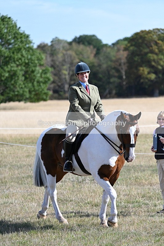 WJ7_3075 - Class 8 Ridden Tack & Turnout