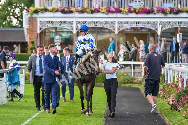 260724-Race 4-Dicko The Legend-5266 - Race 4 7.15pm Tomahawk Restaurants Handicap