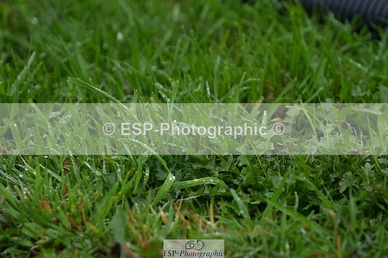 250920-142128-01437 - Cls 18-20 CoH 1.10m, 1.20m and 1.25m