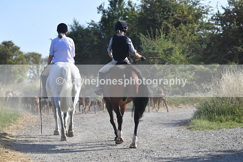 WJ5_4828 - Walk out with the hounds
