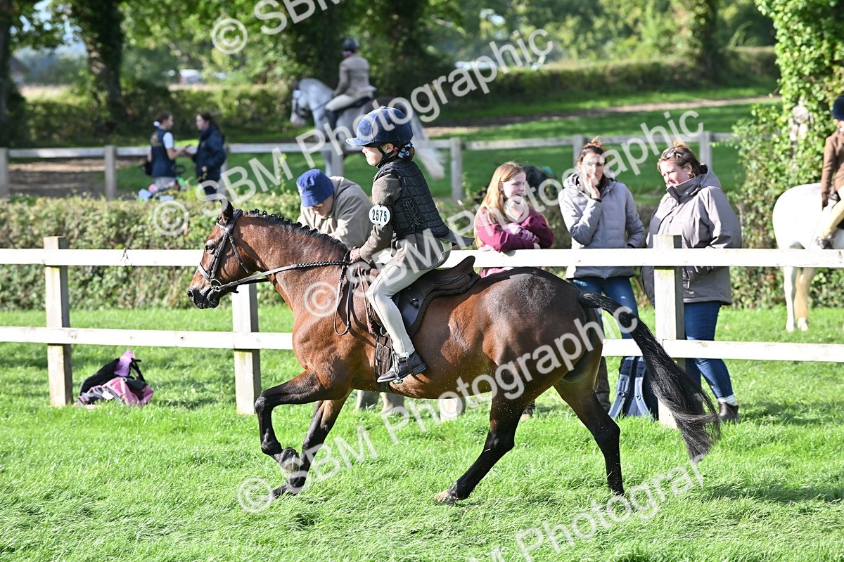 SBM_51268 - S22 - First Ridden show and show Hunter Pony