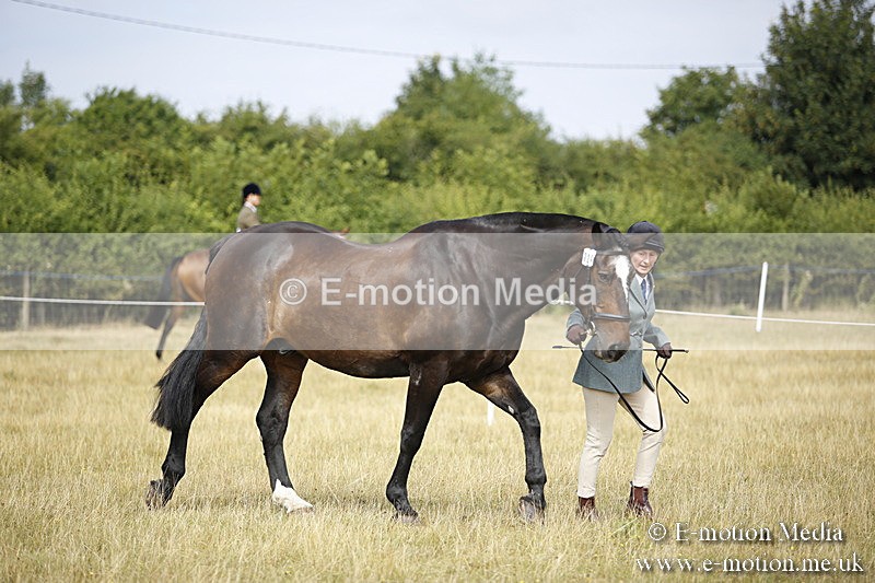 _C7A9378 - BVRC Sow 2018 Ring 2