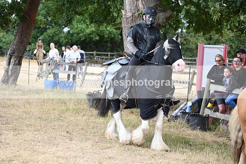 WJ6_8912 - Class 11 Fancy Dress