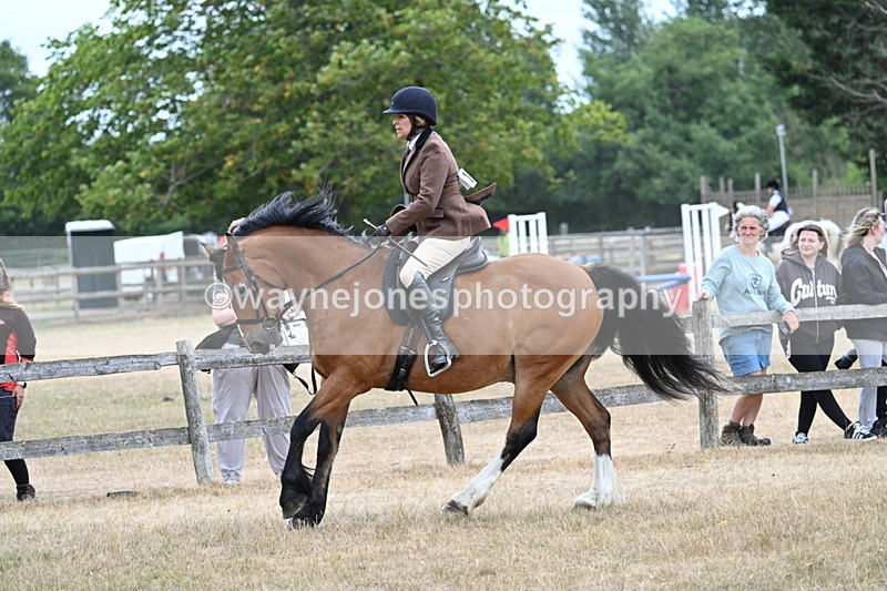 WJ7_0584 - Class 6 Ridden Mountain and Moorland