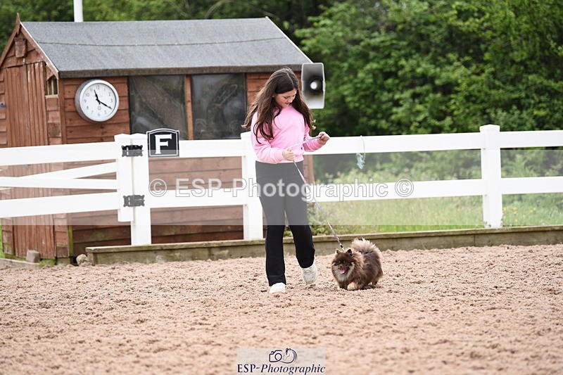 240518A-112016-00746 - Cls 1 Cutest Puppy