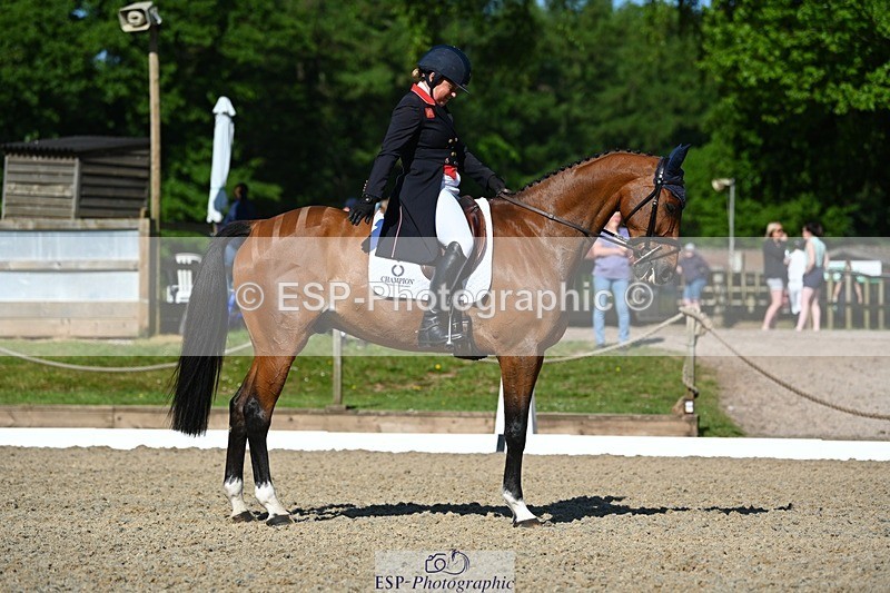 230526-091738-05423 - 453-BILLY_WONDER-Pippa_Funnell-DR