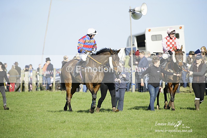 PtP 300122 147 - South Dorset Hunt - Point-to-Point Races 30/01/2022