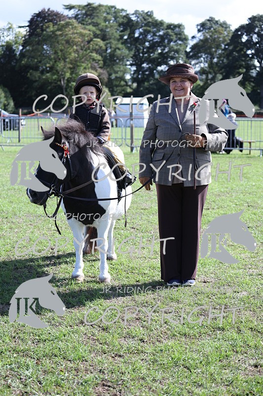 APP_3869 - Class 13 Lead rein