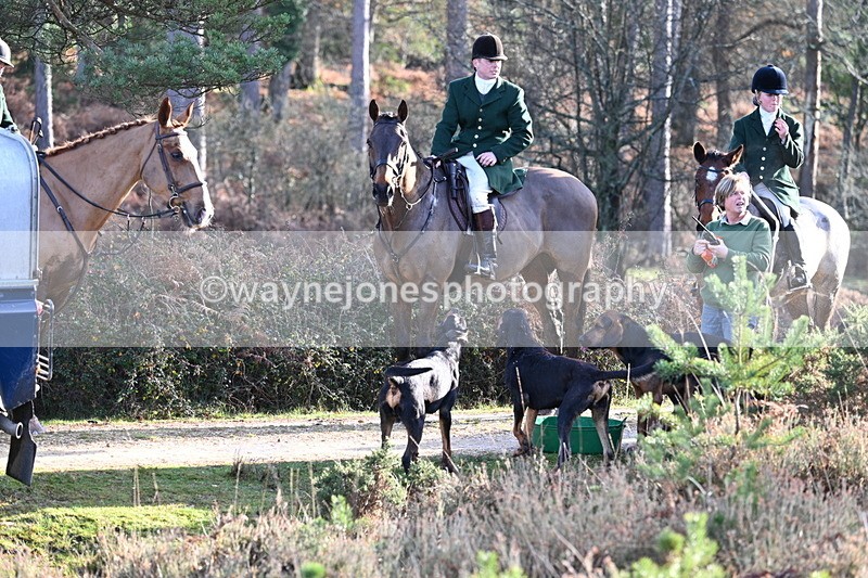 WJ7_7447 - Line 3 (no line 4 or 5)