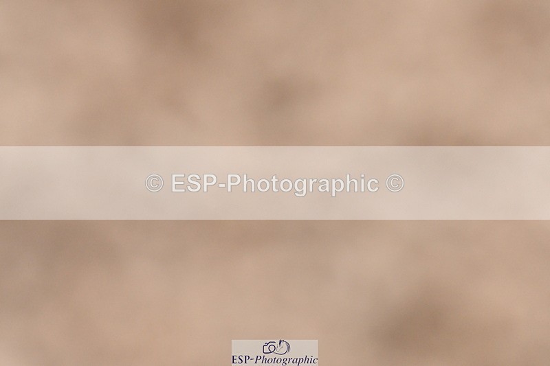 231217A-123814-01052 - Unaffiliated Classes