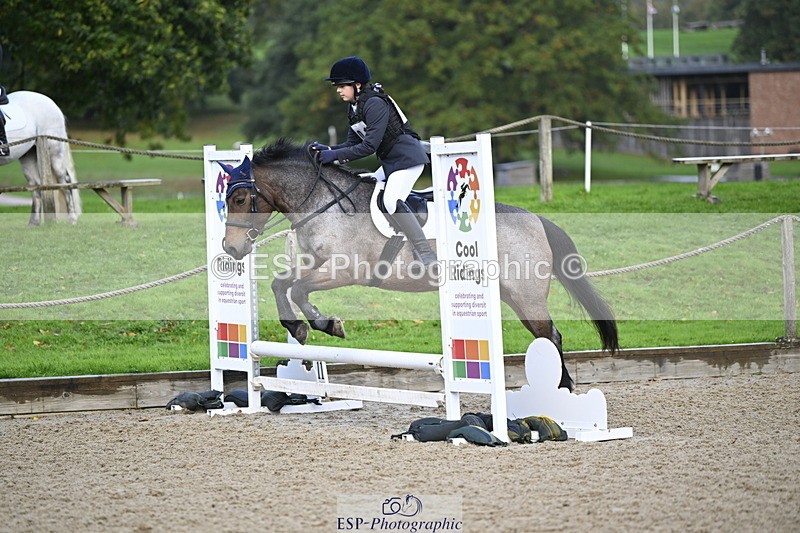 251005A-085631-02896 - Cls 02 GR 50cm