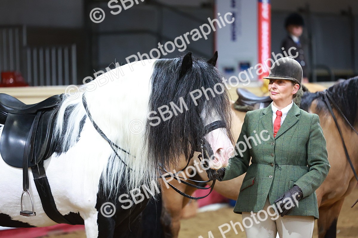 SBM_09556 - Class 102 - HOYS Veteran Qualifier - Ridden Veteran