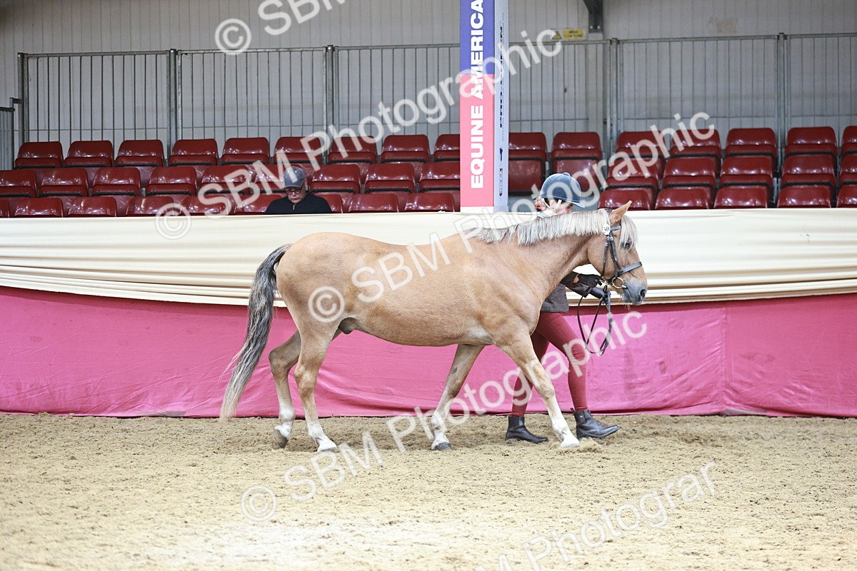 SBM_04701 - Class 7R - Regional IH Diamond