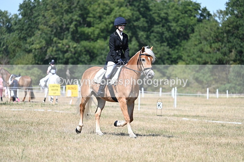 WJ7_0245 - Time 11:33 to 11:44