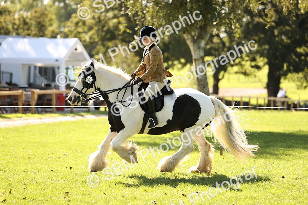 SBM_19147 - S3 - TSR Ridden Pony Showing