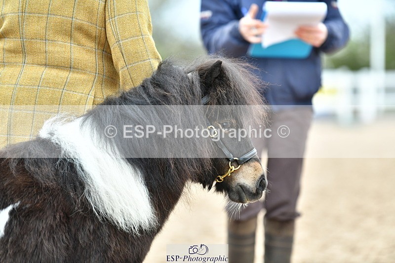 230416A-104335-03532 - Cls 33 InHand Youngster