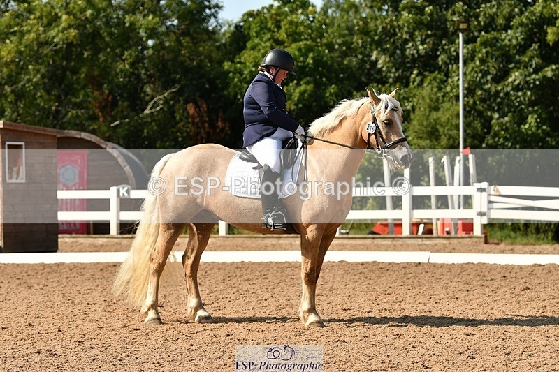 250817-162015-11564 - 216-Chloe.WaltonHaytors.Lord.of.the.Dance