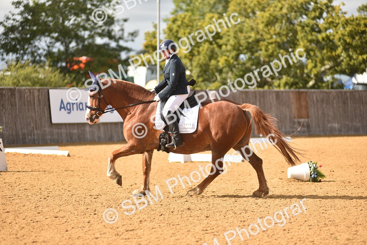 SBM_24385 - D4 - Small Tour Championship Intro 4
