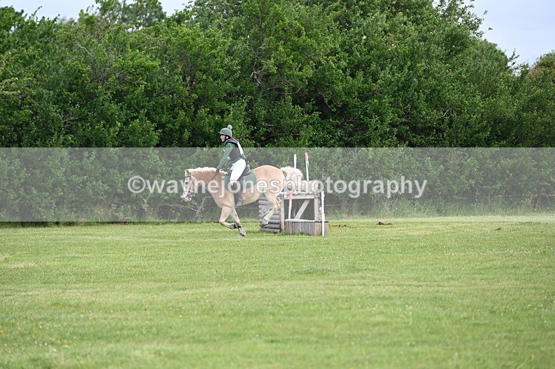 WJ6_2264 - Class 2 40cm