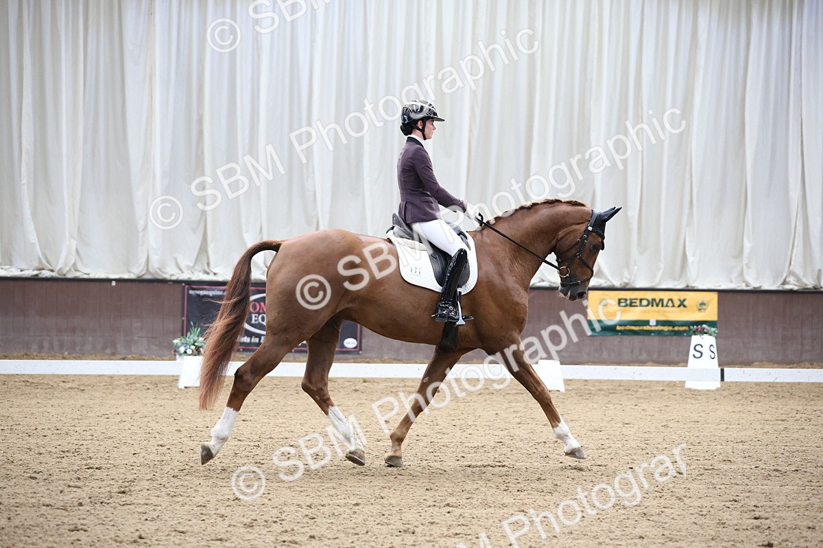 SBM_002805 - Class 5 - Novice 6 Gold - 10.24-11.30