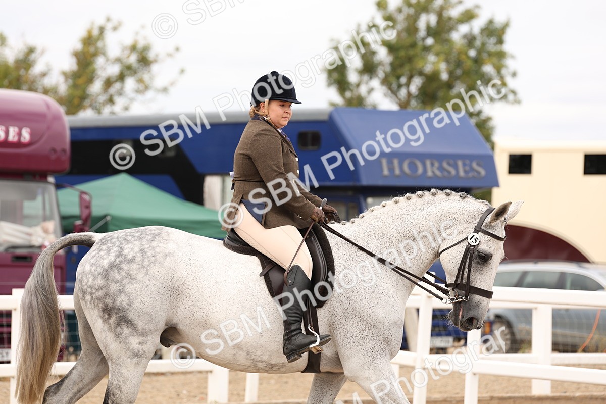 SBM_17182 - Class 213 - Ridden Hunter - Large