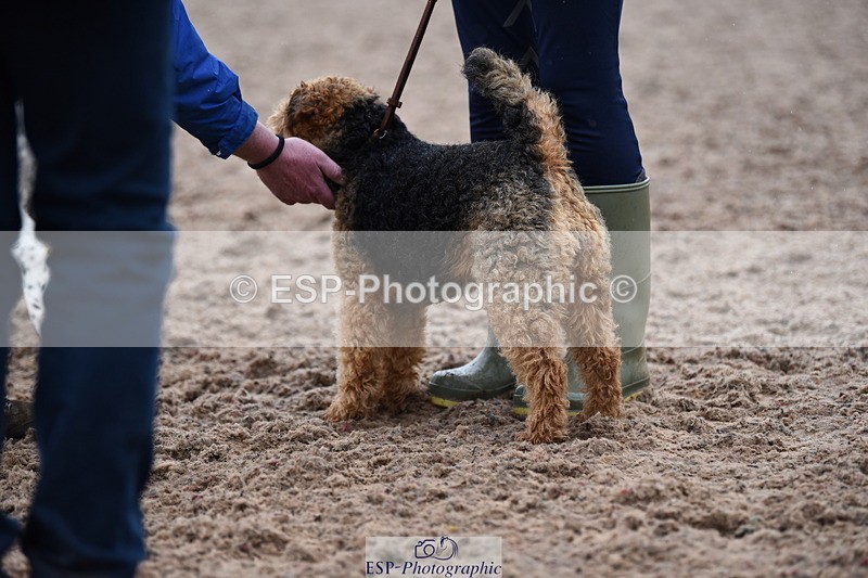 240518A-132614-01296 - Cls 8 Dog the judge would most like to take home