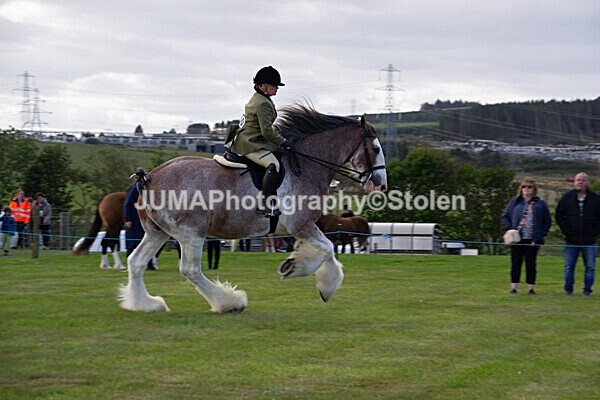 DSC_0235 - Ring 1
