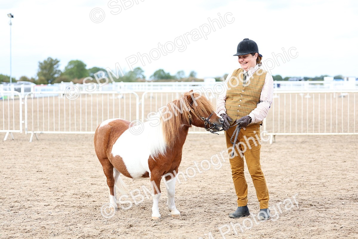 SBM_05895 - Class 29 - IH Veteran Pony