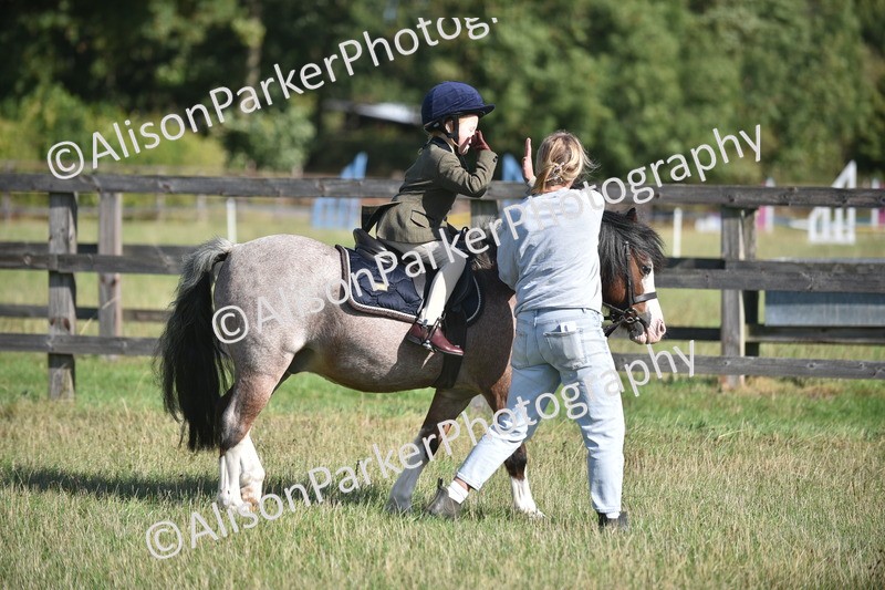20260906-0598 - Class 6 - Minimus Jumping