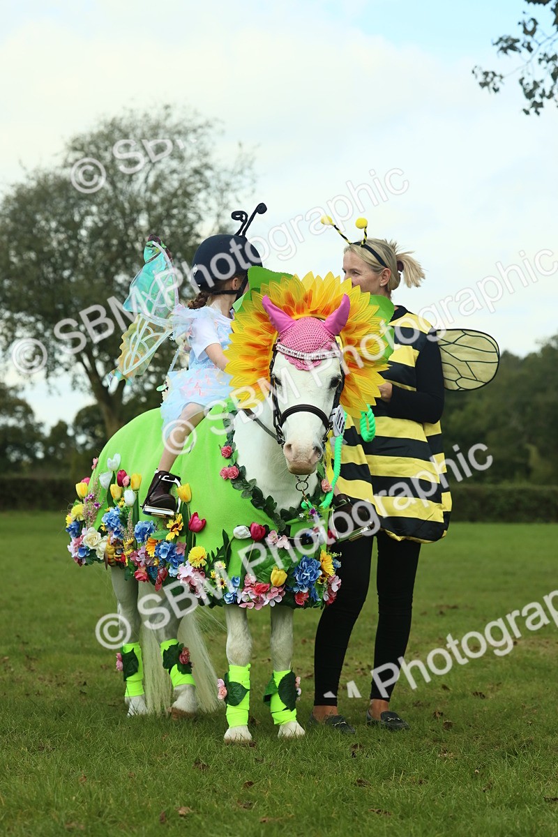 SBM_63671 - S35 - Fancy Dress Showing