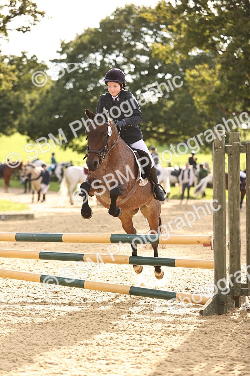 SBM_52851 - J10 - Junior Pony 75cm Championship