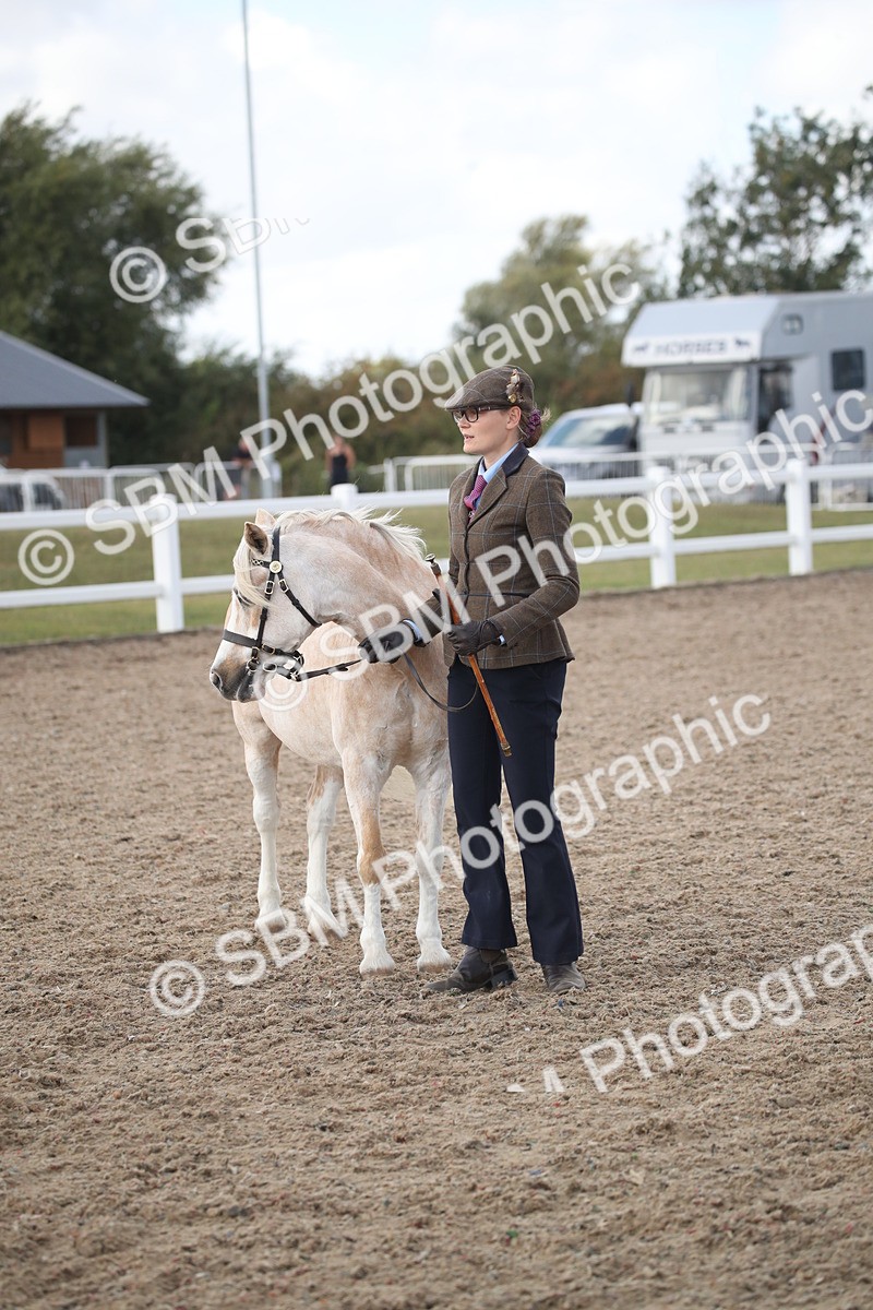 SBM_23436 - Class 604 - 2026 - Area IH Diamond