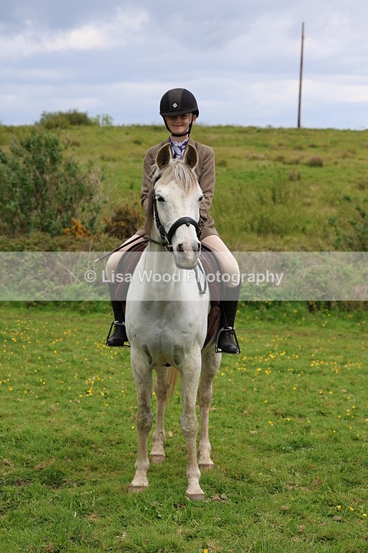 3E7A2142 - Class 11: Ridden Arab