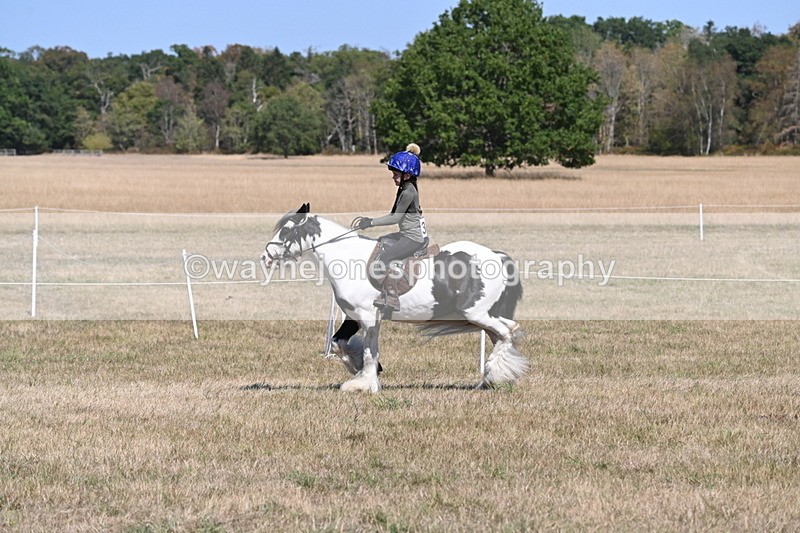 WJ6_8832 - Class 38 Ridden Riding Horse/Pony