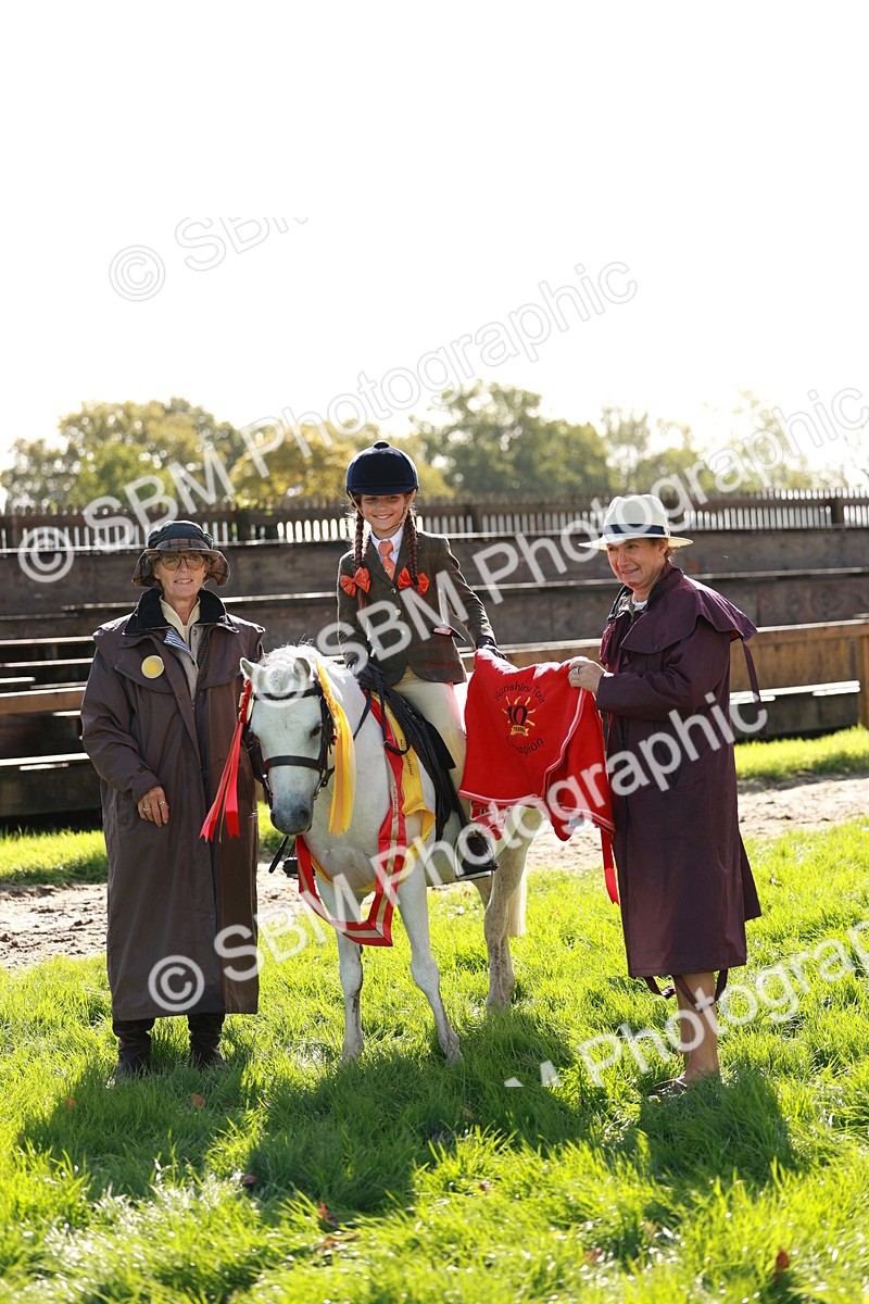 SBM_42178 - S32 - Mountain & Moorland Working Hunter Pony