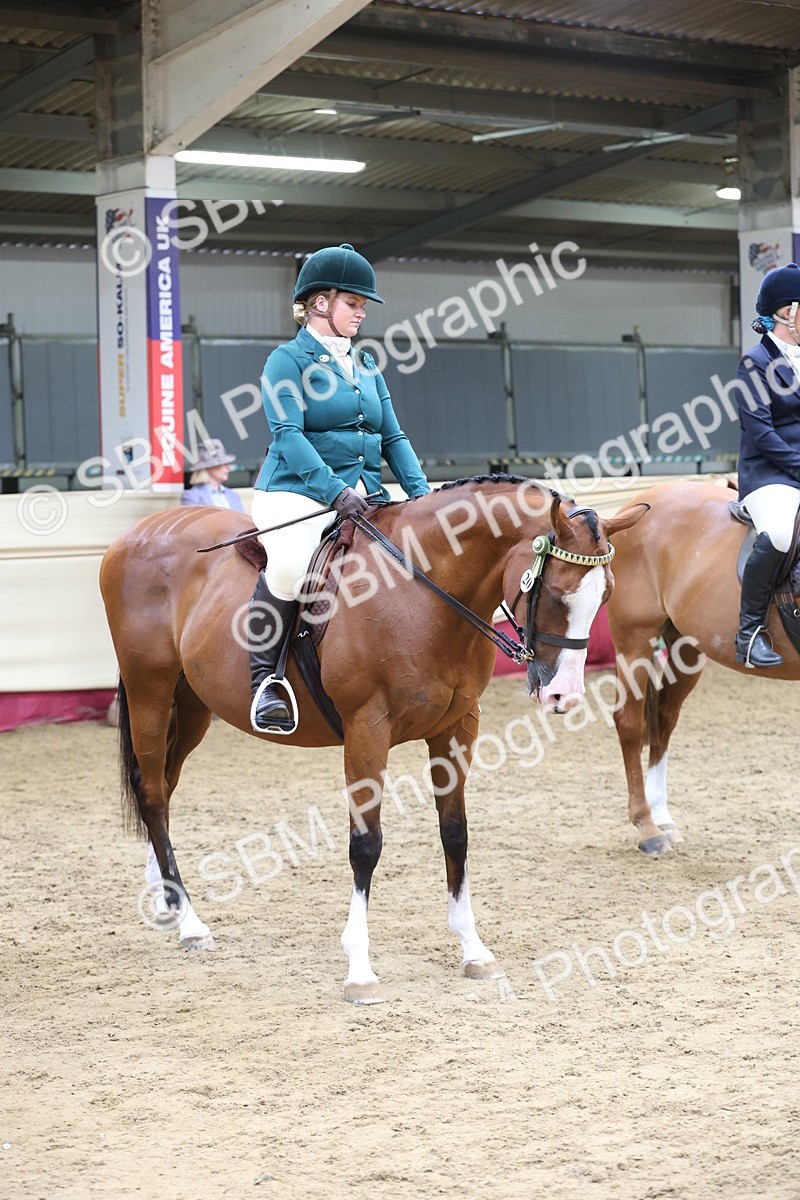 SBM_24072 - Class 905 - Supreme Final - Ridden Veteran