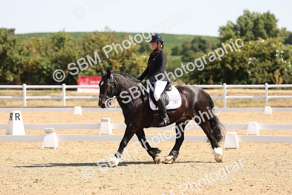 SBM_001054 - Intro 2