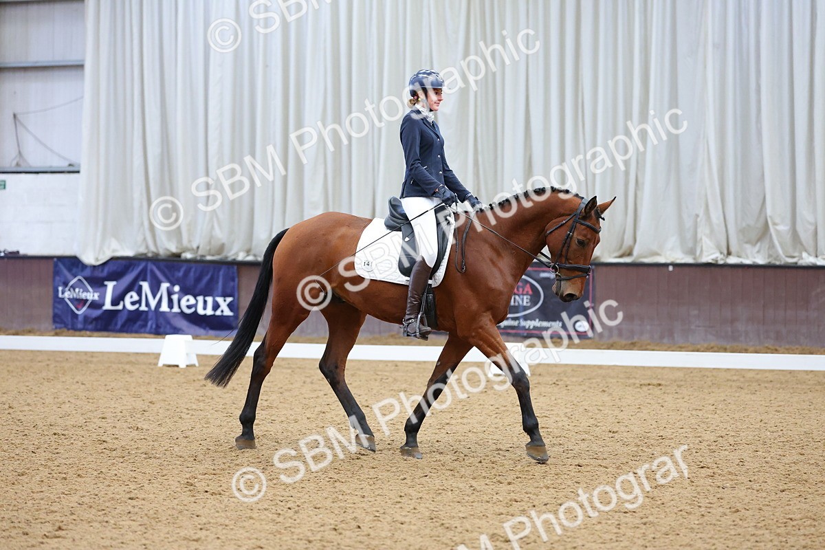 SBM_003123 - Novice
