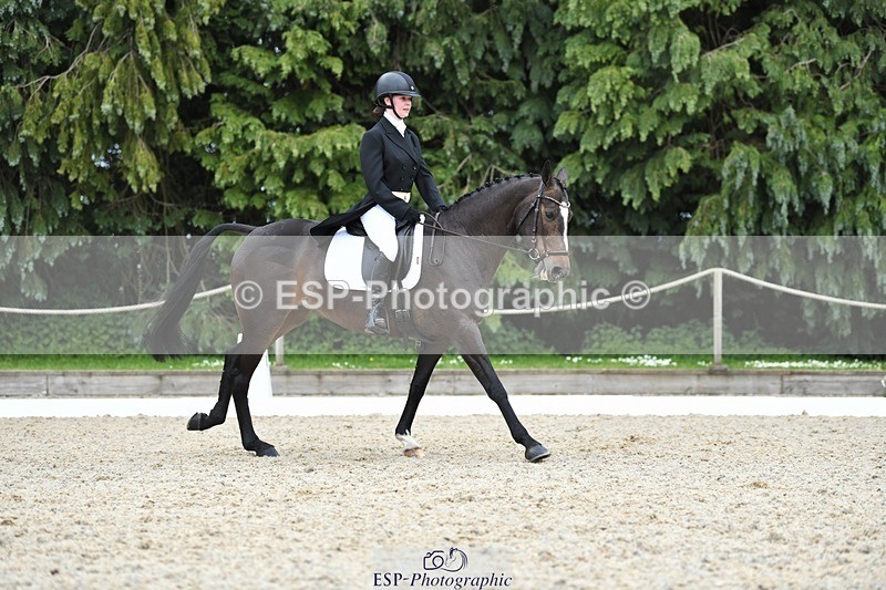 230525-142326-03137 - 320-CAVALIER_GUNFIRE-Tabitha_Baker-WEDTrotUp+DR