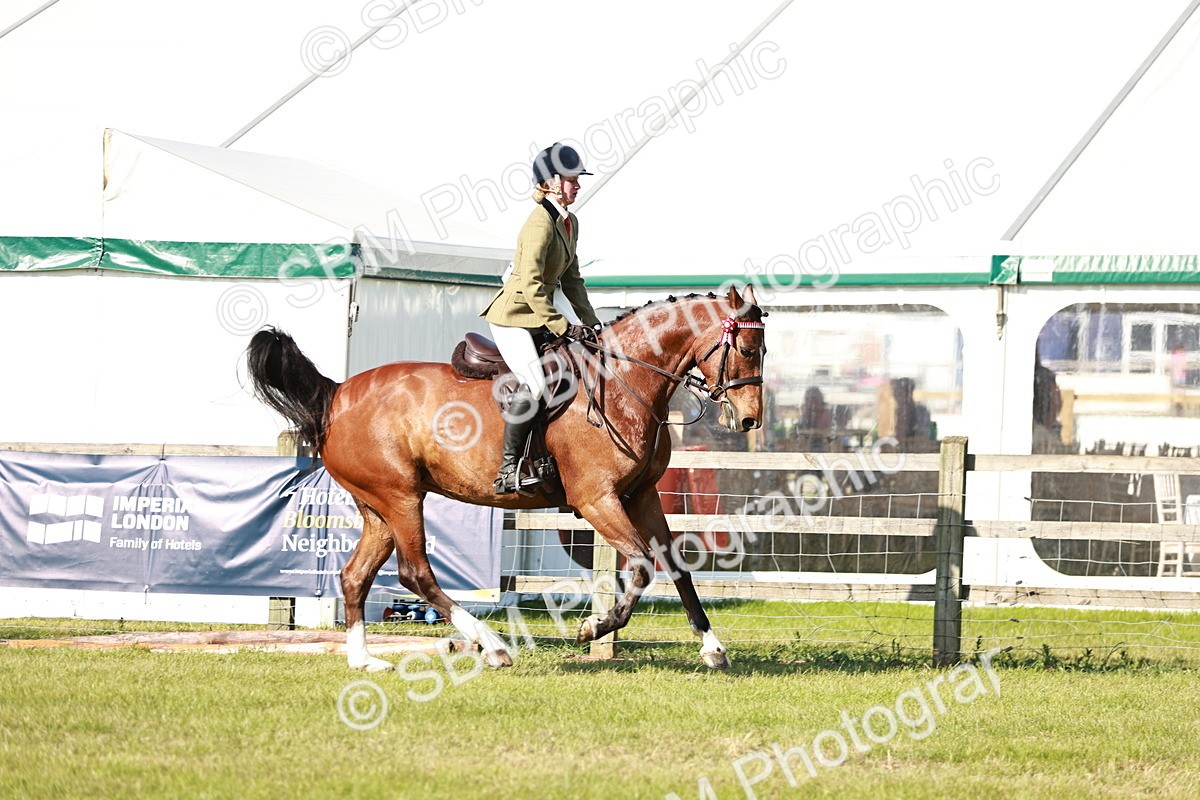 SBM_19233 - Class 115-116 - LIHS BSHA Rising Star Working Hunter & Show Horse