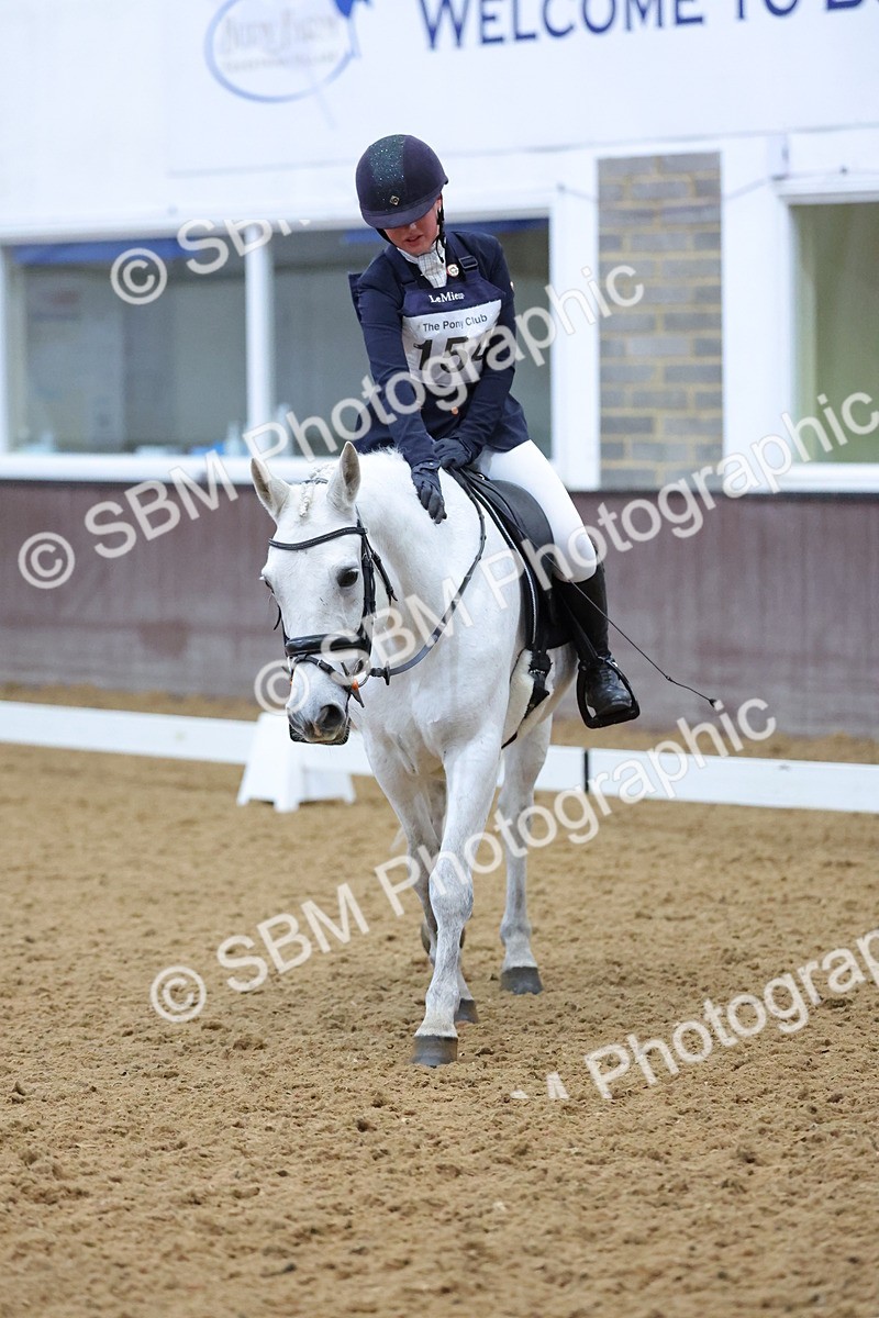SBM_004185 - Intermediate