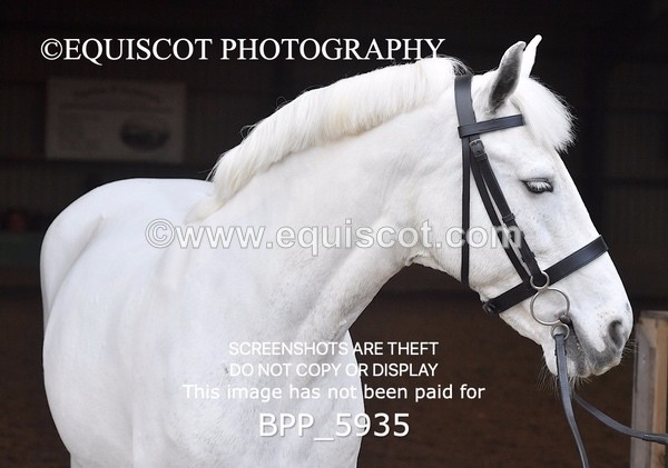 BPP_5935 - Erin Hancock ×2