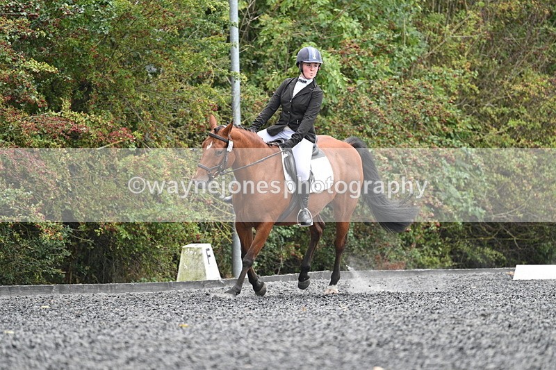 WJ7_3617 - Time 11:04 to 11:38