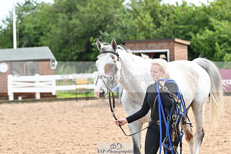 240717A-164353-03511 - Trot Up 4pm to 5pm