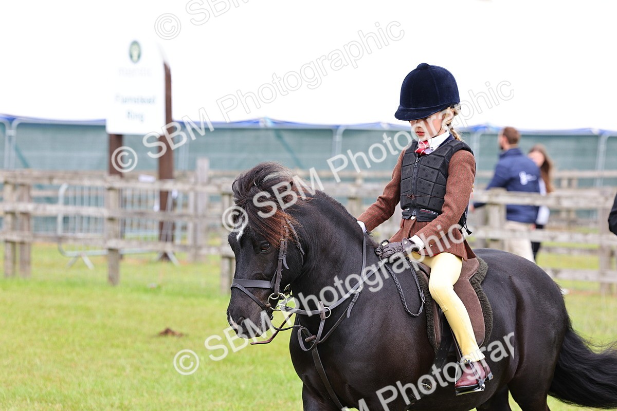 SBM_08666 - Class 42-43 - LIHS BSPS Heritage Working Sports Pony