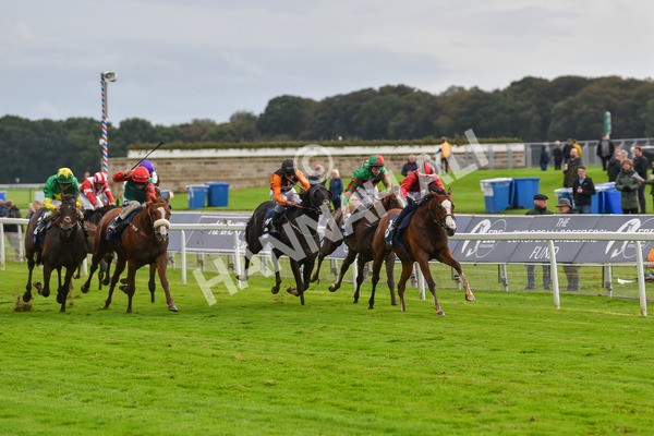 131023-Race 4-Hafeet Alain-9519 - Race 4 3.50pm William Hill Autumn Mile Handicap