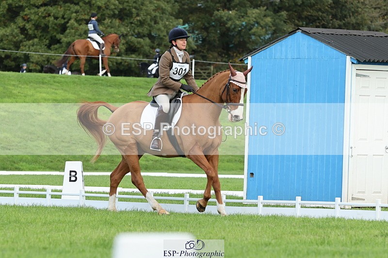 251023A-100058-03009 - D-301-Alison.Stewart